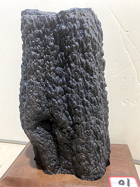 雷击木化石详细纹理特写，展示独特的碳化痕迹和石化结构